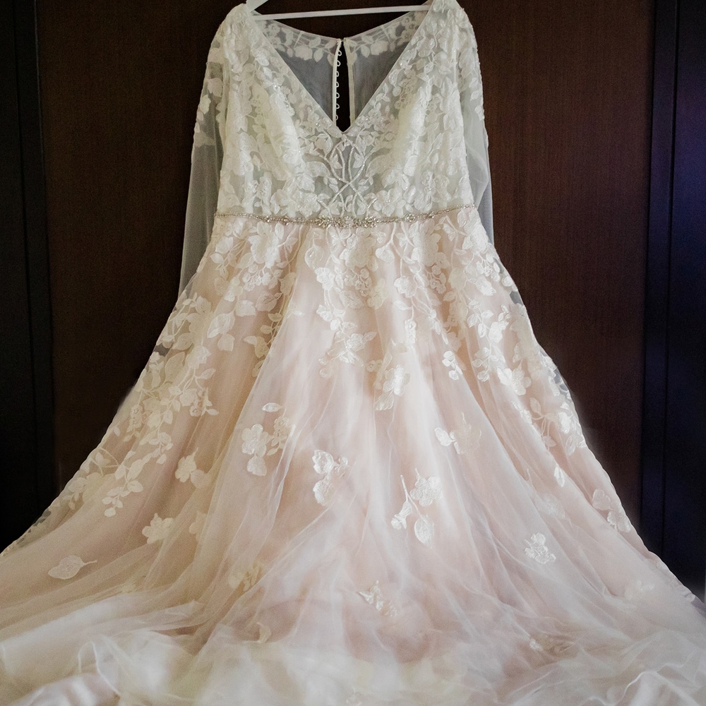 David's Bridal Elegant Lace Long Sleeve Wedding Dress